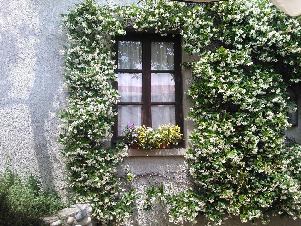 Agriturismo Cassinazza Orsenigo Quarto foto